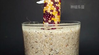 ماذا يحدث إذا وضعت ذرة في كوب من الرمل ثم صببت عليها الماء؟