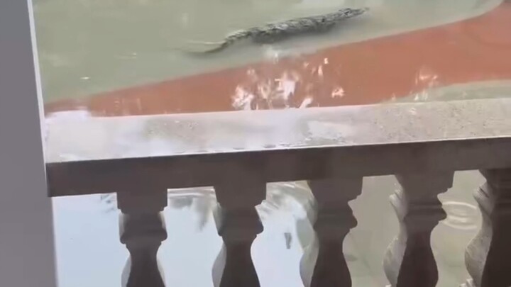 广东的雨有多大呢？请看...