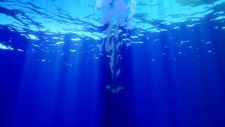 Naruto shippuden opening 8 60FPS(480P). MP4