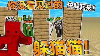 你没见过的船新版本 【 躲 “猫猫”】