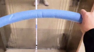 没想到呼啦圈还有这作用，说好一米就一米