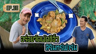 อร่อยจัดผัดซีอิ๊วสิรินทร์ฟาร์ม - [ คนฟาร์มทำครัว ] EP.36