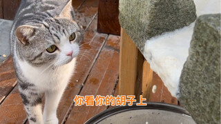 小时候看见大人们，先做豆腐再沙猪，就知道离新年不远了😊，不知道我老公用了两天时间，追忆的儿时味道有没有人喜欢