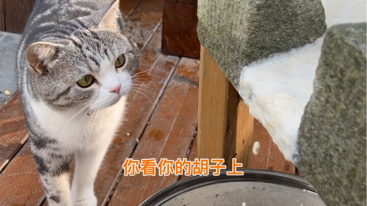 When I was little, I saw adults making tofu first and then sand pig, and I knew that the New Year wa