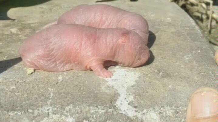 แค่ตั้งใจทำ ผลผลิตถึงจะเพิ่มขึ้นได้