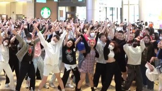 【TWICE】Masuk dan rasakan popularitas Rabbit! The Feels Random Dance |. Bernyanyi bersama Who Dances 