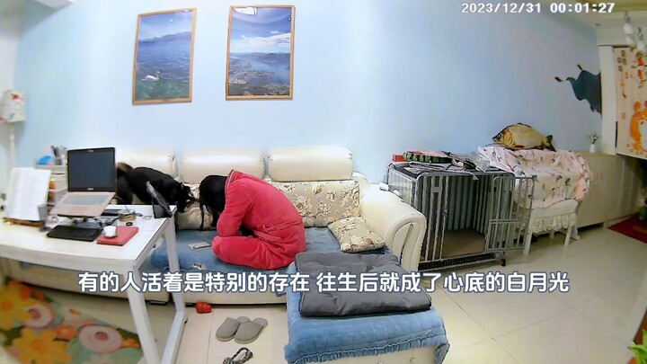 “一转身就是一辈子”真的不止是一句文案！