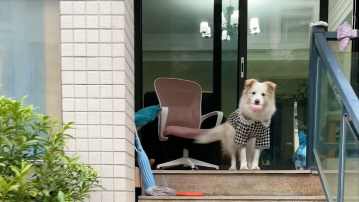 I stepped out for a bit, and when I came back, Bella had completely changed.