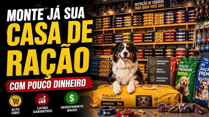 Como Montar uma CASA DE RAÇÃO com POUCO DINHEIRO 🐶🐱💰
