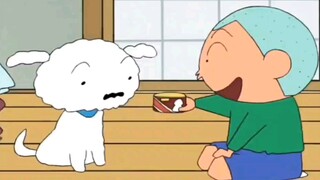 【Crayon Shin-chan】Apa yang Shirakami makan di pagi hari?