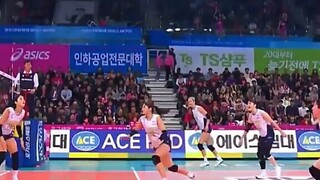 volleyball
