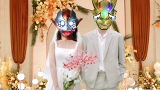 赛罗哥哥拍的婚纱照好看么？