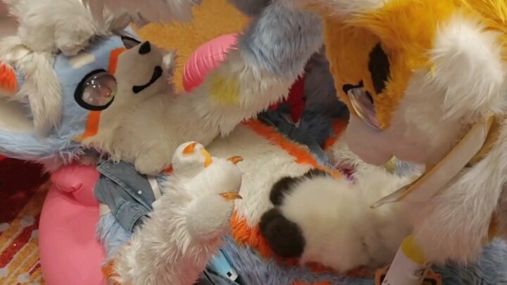 Luo Xi, where are your hands?!