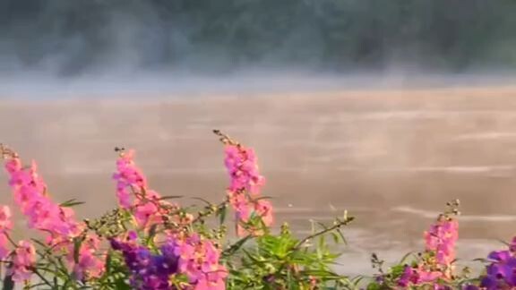 ลมหนาวมาเยือน