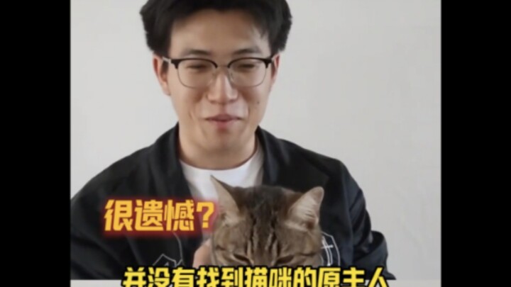 أضحكني حتى الموت! في البداية كان النشطاء يبحثون فقط عن مالك للقطة المشردة، لكن بعد ذلك لم يعد في عيو