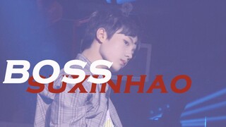【苏新皓】十二岁小学生翻跳 nct boss TOPKING千人舞会