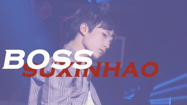 【苏新皓】十二岁小学生翻跳 nct boss TOPKING千人舞会