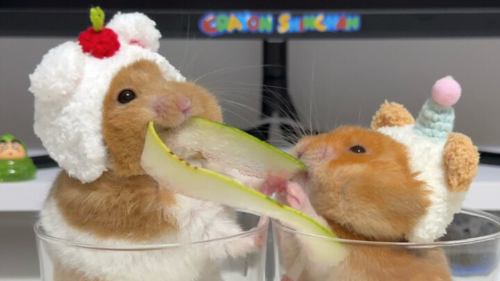 تشاي تشاي ممكن! لكن غوا غوا مستحيل!!