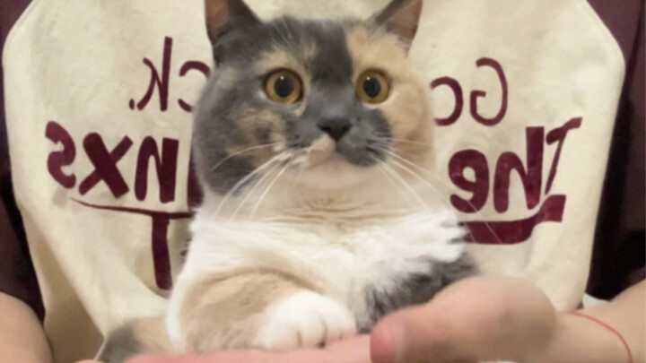 Pikiranku penuh dengan menggali dan menggali