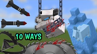 10 Ways To Torture Goat In Minecraft