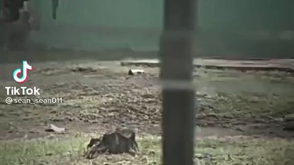 its okey nauna pa kayo kay nila maam