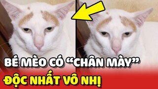 Hoàng Thượng có BỘ "CHÂN MÀY" ĐỘC NHẤT VÔ NHỊ tại Việt Nam 😂 | Yêu Lu