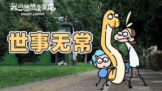 生活就像巧克力…… | 原创动画 | 我的爸爸是条龙哦