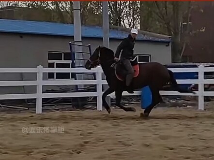 This guy has two faces!