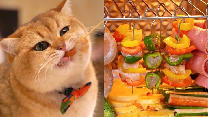 น้องแมวกินซีฟู้ดย่างสไตล์อิซากายะ ตะเกียบจิ้มเสียบไม้คำโต น้ำลายไหลปรื๋อ!