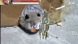 【APEX】Zi Bang Rat Rat