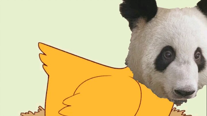 Nhóm con trai Sabi của Panda Yaya