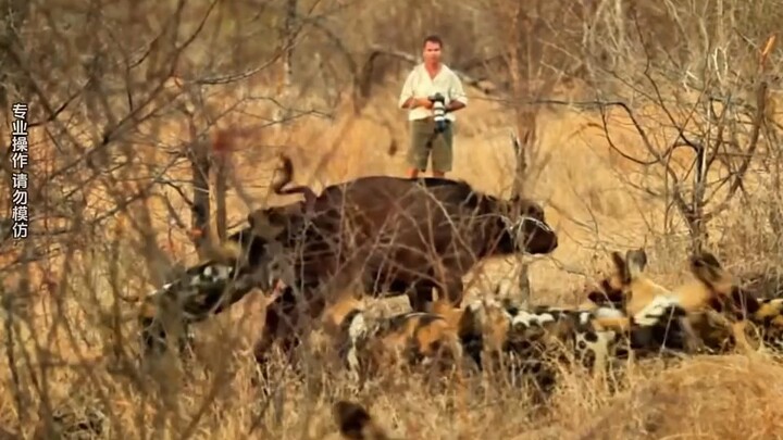 Wildlife photographers—so this is how they really shoot!