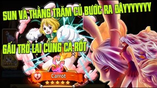 Hải Tặc Đại Chiến - Nhân Phẩm Bộc Phát Trở Lại Gấu Lên Luôn Cà Rốt 12Sao Phụ Thù Trăm Củ Và Sun...