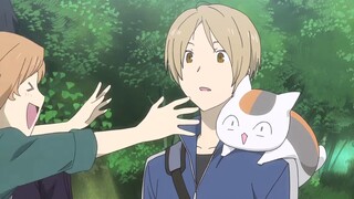 หมูน่ารักที่สุดในโลก