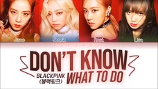 BLACKPINK- DON'T KNOW WHAT TO DO     [ Color Coded Lyrics]