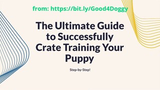 The Ultimate Guide to Successfully Crate Training Your Puppy -  Step-by-Step