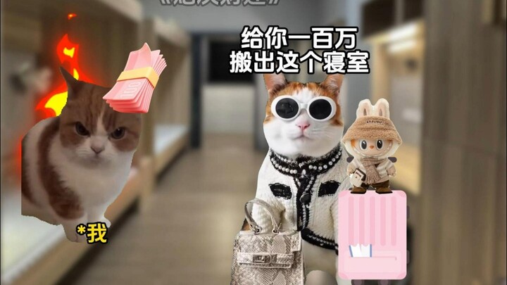 Khi bạn cùng phòng đưa cho tôi một triệu để tôi dọn ra ngoài 1–7