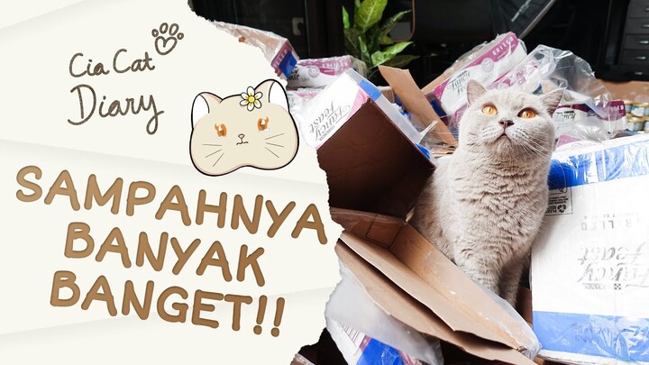 Duh! Sampah Makanan Cia Banyak Banget! Gimana ya? - Cia Cat Diary