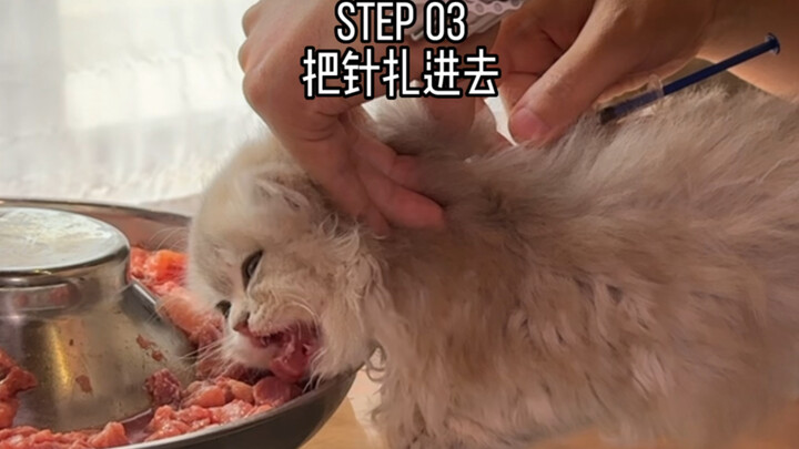 ทำไมเนื้อวันนี้ถึงกัดคนได้ล่ะ???