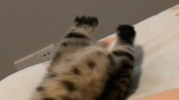 When is he going to hit me?