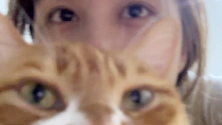 Sangat dekat, sangat dekat—bisa bau kucing kecil!