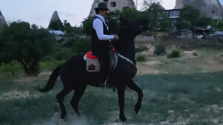 Dachi’s Brainstorm Moment