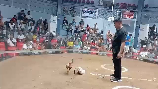 Fantastic Dome in action champ