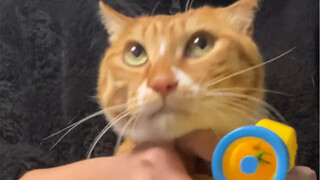 Great, let's also play PUBG for a bit.