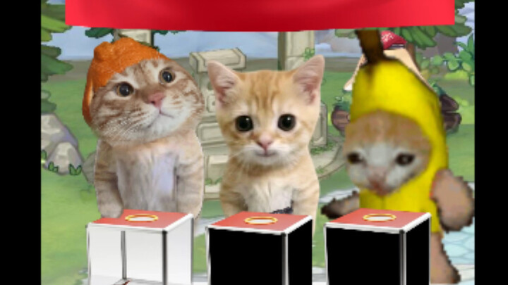 Quầy hộp bí mật bị bỏ rơi