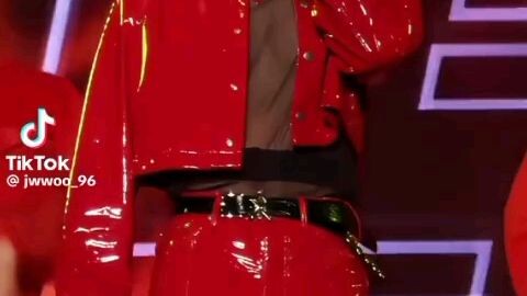 ('Fire') Wonwoo fancam