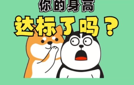 你的身高达标了吗