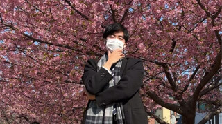樱花树下舞一段