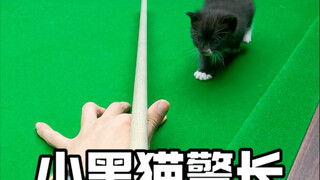 أيهما أكثر سوادًا: المفتش القط الأسود أم الثمانية السوداء؟