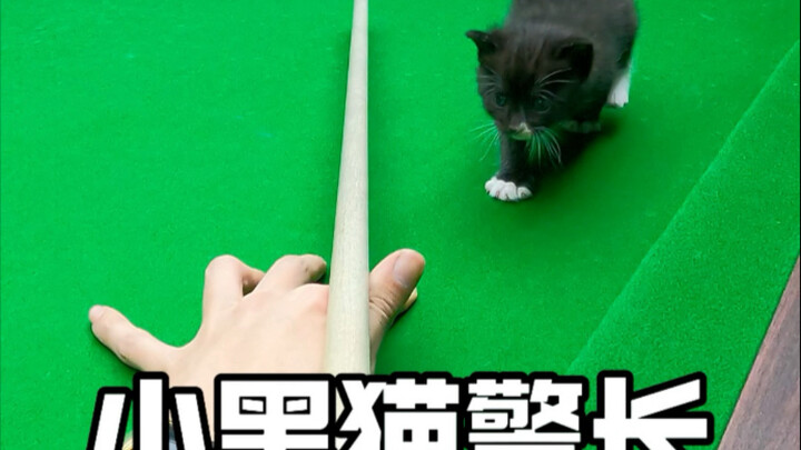 ใครดำกว่ากัน ระหว่างเจ้าหน้าที่ตำรวจแมวดำกับหมายเลขแปดดำ?